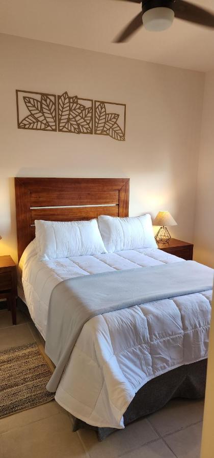 Suites Lomboy & Plaza San Jose del Cabo Exterior photo